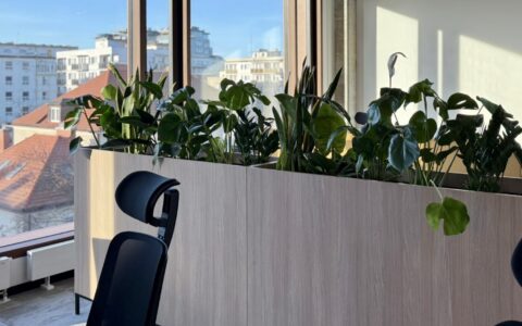 Zdjęcie przedstawia biuro z aranżacją zieleni