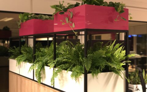 Regał meblowy z roślinami