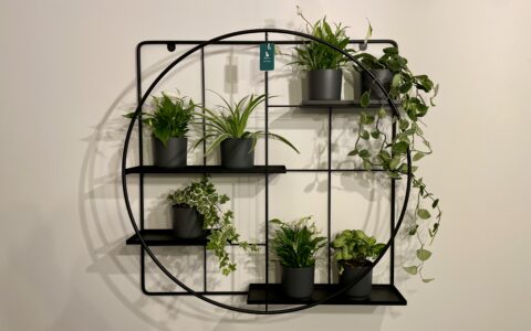 Regał ścienny z roślinami
