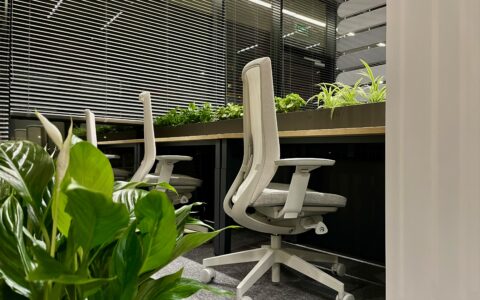 Meble biurowe i rośliny